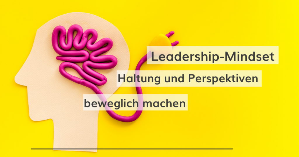 boris-kasper-progress-professionals-blog-leadership-mindset-titel